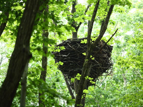 トビウの語源となった黒い大きな鳥の巣をイメージして作った森のシンボル