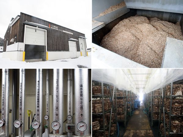 バイオマスボイラーの収まる建物の外観（左上）、燃料となるチップ（右上）、暖房や給湯に使われる温水を各施設に供給する地下配管（左下）、特産のシイタケを栽培するハウス（右下）
