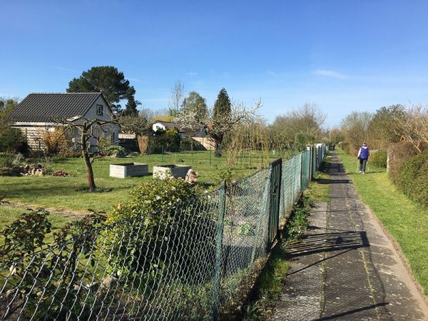 のどかなクラインガルテン　（ハノーファー）　　　© Riho Taguchi