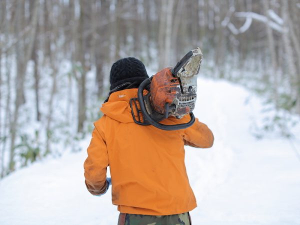木こりがまちに下りてくる