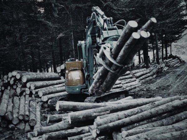 撮影/山内麻由美さん。outwoodsと陣内さんの活動は、写真家でもあり足立さんのパートナーでもある山内麻由美さんが写真におさめ発信している。