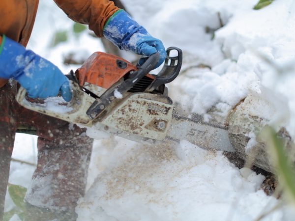 北海道の林業業界でフリーの木こりとして活躍するoutwoods