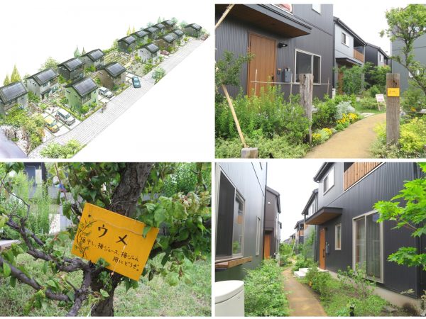武蔵野の緑を活かした「新農住コミュニティ野火止台」。畑、果樹園、緑 