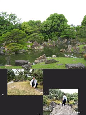 上／二の丸庭園（写真提供：元離宮二条城事務所）　左下／芝生の中に行幸御殿の礎石を発見　右下／特別な許可を得て石橋の上に立つ磯田先生。「いやあ、ここ、渡ってみたかった！　二条城の長い歴史の中でも、この橋を渡った人は、家光や慶喜のほかに何人もいないんじゃないですか」と大興奮。先生は地質にも詳しいそうで「この緑がかった石は、たぶん中央構造線のものでしょう。和歌山あたりからはるばる運んできたんだと思います」