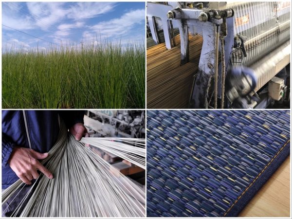 左上／い草は、12月に水田に植え、翌年の6～7月頃に収穫。左下／乾燥させたい草は緑から変化。畳ヨガで色が付いたデザインの原料となるい草はこの段階で染める。右上／機械で織り上げていく。右下／きれいな織り目で肌触りよく仕上げる。ヨガのポーズを安定してとれるように織り方にもこだわり、足をマットがしっかりと受け止められるような程よいしなやかさに工夫したという