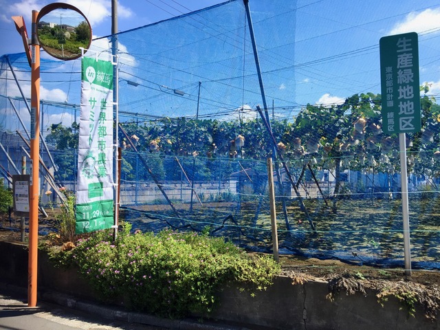 生産緑地法 2022年問題の背景 バブルと市街化区域内の農地の関係 東大不動産情報科学研究室 住まいの本当と今を伝える情報サイト Lifull Home 039 S Press