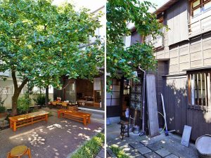 ▲大きな柿の木が日よけがわりになって、真夏も涼しく過ごせる中庭。現在はコロナの影響で不定期開催となっているが、季節の展示、生活史講座のほか、洗濯板・すり鉢体験などの小学生を対象とした見学プログラムも用意されている