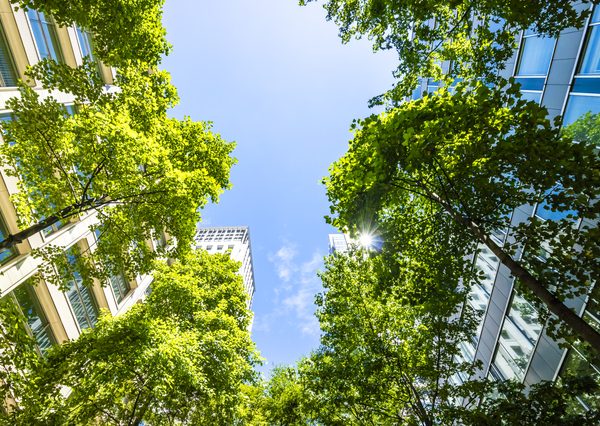 「みどり」に配慮した環境整備の取り組みは、不動産価値の向上に寄与する可能性が考えられる