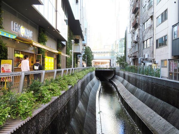 再生水を利用、流量が増えた渋谷川。川の周囲でイベントが行われることもあり、そぞろ歩くには良いスポットに