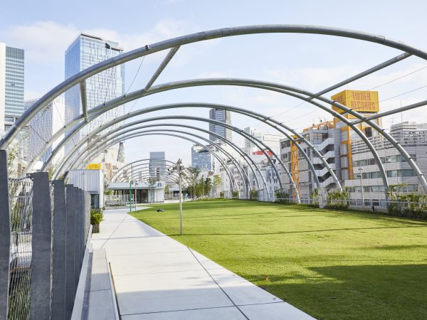 グリーンが鮮やかな芝生と上部にはキャノピー。これから時間をかけて緑のトンネルとなる予定だ