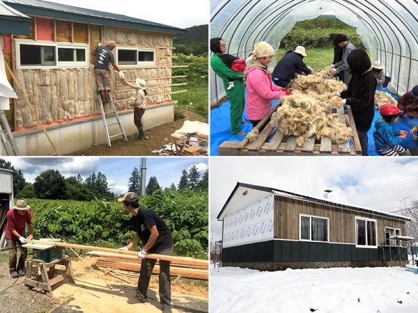 外壁に入れ込まれる羊毛の断熱材（左上）、羊毛のごみを取り除くワークショップ参加者（右上）、地元の丸太から製材された板張り（左下）、工事が進む住宅（右下）
