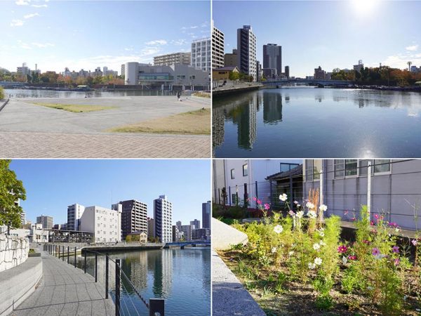 （左上）ダンダン畑のようにゆるい階段が続く（左下）遊歩道の柵も木津川が見えやすい設えに（右上）木津川を挟んだ対岸にはビルや公園が眺められる（右下）トコトコダンダンの会のアドプトリバーで植えられた花壇の花