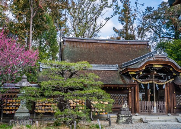 木花開耶姫を酒の神「酒解子神」として祀る梅宮大社