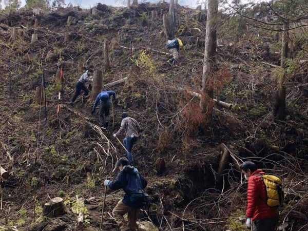 熊野」の里山を救え！ 山好きが地域課題に取り組む「熊野 REBORN