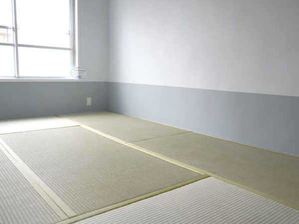 壁の緑色の効果で、団地備え付けのキッチンの乳白色が引き立つ