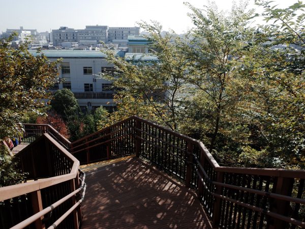 佐伯山緑地公園からの眺め