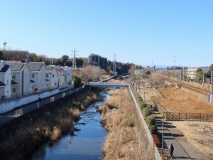 森野橋から上流を見たところ。向かって左側が相模原市、右側が町田市。左側の家が切れた辺りに注目して次の写真を見て欲しい
