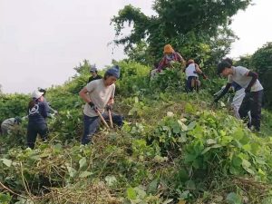 塩屋地区の市営住宅跡地での活動の様子。景観は地域共有の財産である（セミナーのスライドより）
