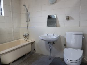 広さはたっぷりあるし、見ている分にはしゃれた水回りだが……