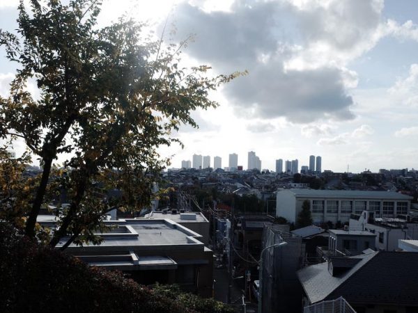 上池台の崖からは武蔵小杉が見える