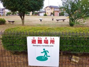 猫や犬との同行避難は課題も抱える