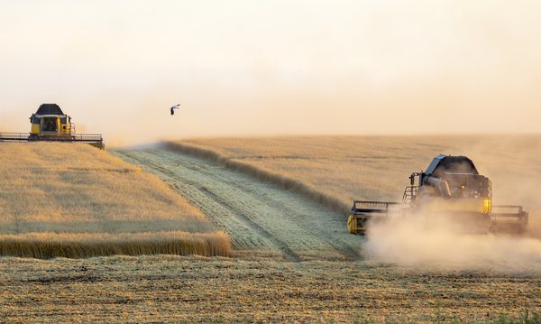 どの地域を選ぶのか？「国内」か「国外（海外）」や、海外であればさらに「先進国」「新興国」などさまざま