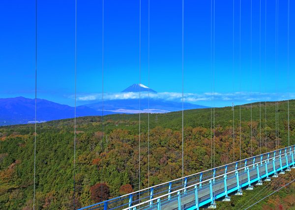 静岡県伊豆の国市の韮山反射炉。実際に稼働した反射炉としては、国内で唯一現存するものだ