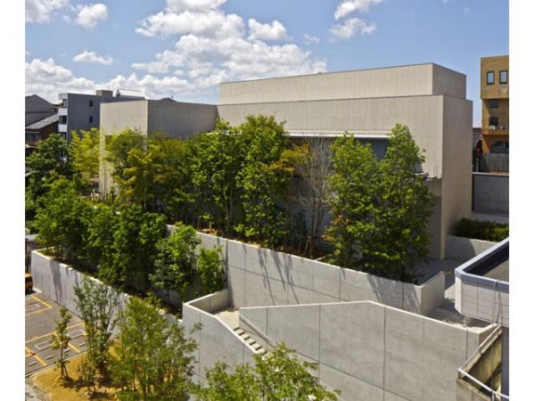 常設展示「游心亭」広間。柱は節のない柾目（まさめ）材で、今ではなかなか手に入らない材料という（写真：北嶋俊治）