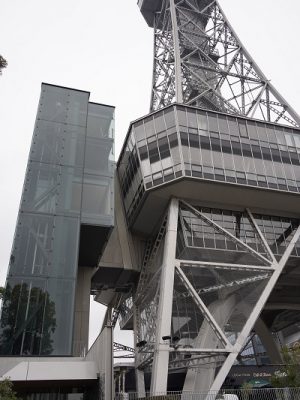 ホテルは4階と5階に位置。タワーの横に新設されたエレベーターからアクセスする。1階のカジュアルダイニング「Farm＆」、2階のバンケット「lily」と挙式ができるミュージックホール「Sign」も運営する