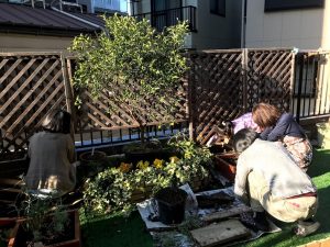 屋上テラスの植物の世話も居住者が行う