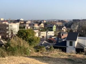 桜ヶ丘からの眺め