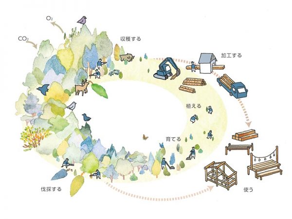 収穫→使う→植える→育てる→収穫という森林資源の循環のイメージ図
