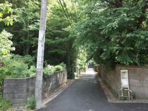 思ったより緑が豊かだ