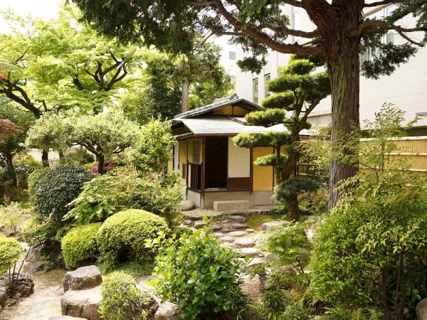 橦木館館長を務める坂口範泰さん