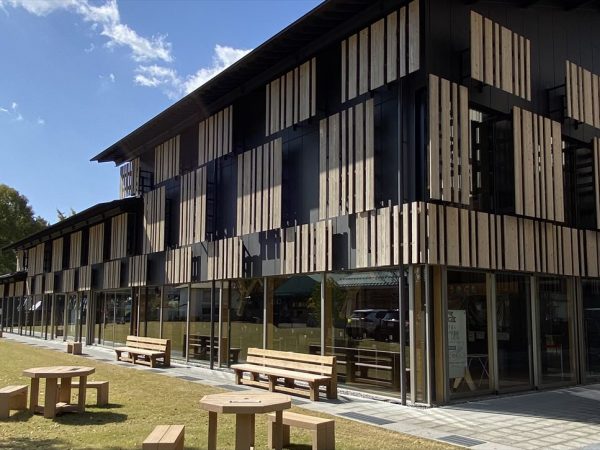 木橋ミュージアムを地上から見上げる