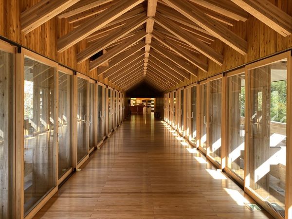 木橋ミュージアムを地上から見上げる