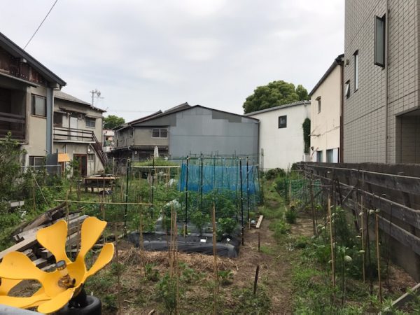 「みんなぼうや」と呼ばれているロゴが可愛い看板