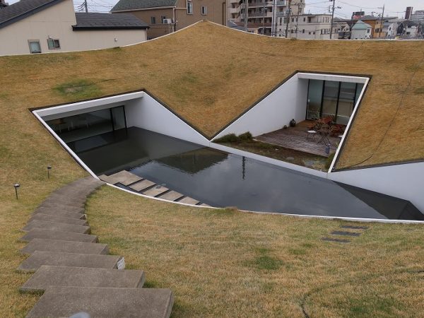 池の中の石を歩いてくると芝生を上る階段に。これは大人でも楽しい体験