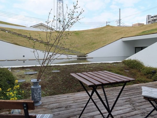 池の中の石を歩いてくると芝生を上る階段に。これは大人でも楽しい体験