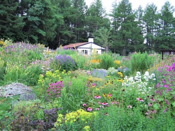 「風のガーデン」のイメージ図。北海道らしさを感じさせる、ナチュラルなデザインに