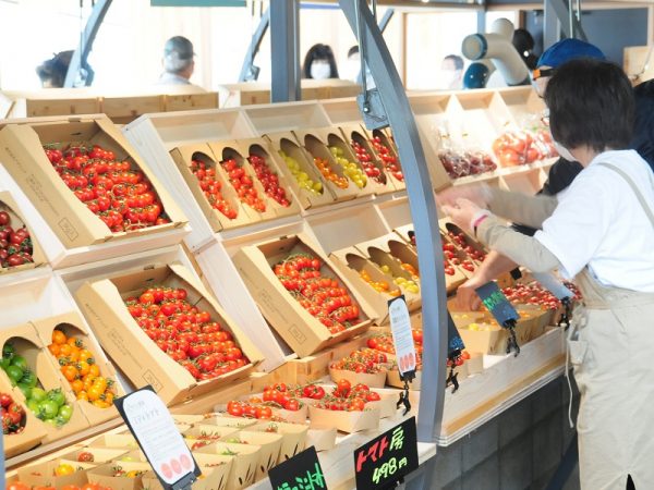 ヴィソン多気の立花哲也社長