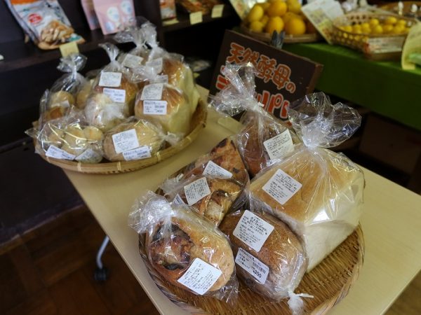 校舎2階から見た屋内プール（黄色い建物）