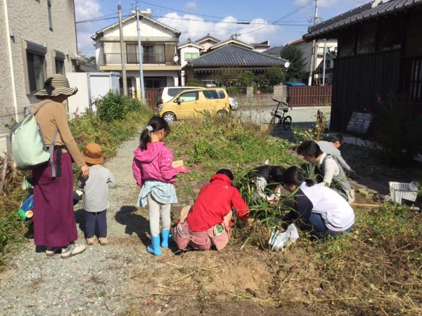 八女郡役所の広い敷地の一部は「園芸部」のメンバーが畑にして、花や野菜を育てている（写真提供：八女空き家再生スイッチ）