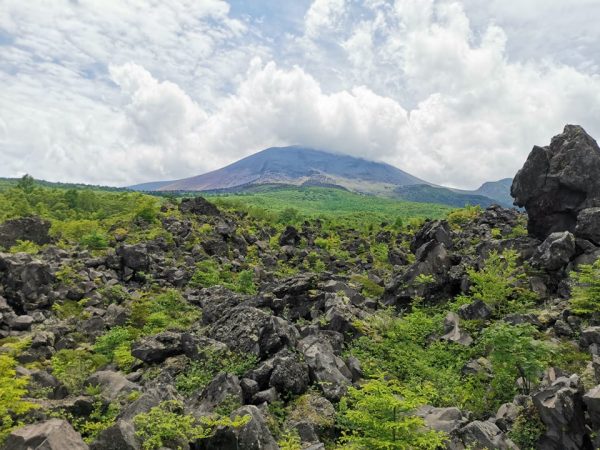 首都圏の水害について多数の事例を解説くださった土屋氏