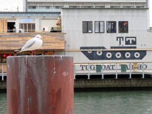 障壁を逆手に取った“川に浮かぶホテル”で、まちを変える力に