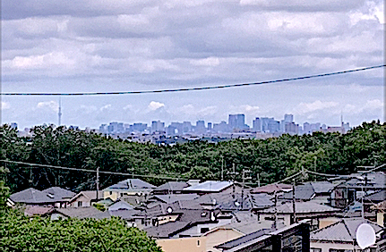 川崎市生田 地主たちがつくった東京を見渡す住宅地 住まいの本当と今を伝える情報サイト Lifull Home 039 S Press