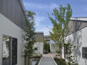 各邸宅をつなぐ小道