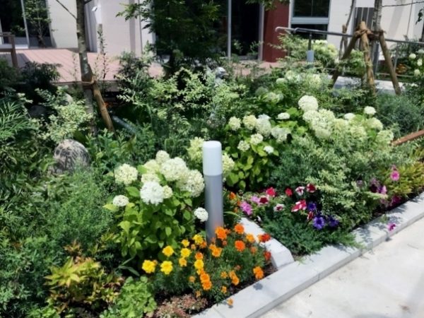 家庭菜園ができる畑