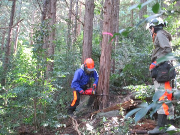 「森林整備人材育成講座」の様子