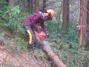 「森林整備人材育成講座」の様子